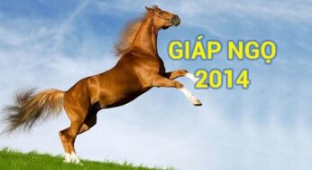 Sinh Năm 2014 Mệnh Gì? Tử Vi Trọn Đời & Bí Mật May Mắn