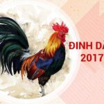 Sinh Năm 2017 Mệnh Gì? Tuổi Gì? Hợp Màu Gì & Tuổi Nào? [2024]