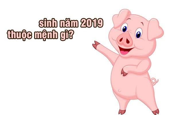 Bé sinh năm 2019 mệnh gì? Hợp tuổi nào, màu nào?