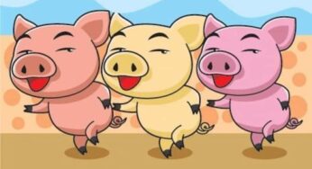 Sinh Năm 2019 Mệnh Gì? Bí Mật Hợp Tuổi & Màu Sắc May Mắn