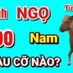 Tử Vi Tuổi Ngọ 1990 Năm 2023 Nam Mạng: Vượt Qua Thử Thách, Đón Tài Lộc