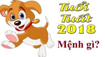 Sinh Năm 2018 Mệnh Gì? 🐶 Giải Mã Vận Mệnh & Bí Quyết Đặt Tên Cho Bé Cưng