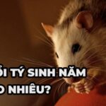 Tuổi Chuột Sinh Năm Bao Nhiêu? Bật Mí Vận Mệnh & Bí Mật Phong Thủy