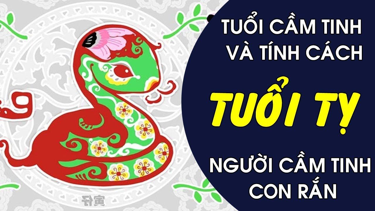 TÍNH CÁCH NGƯỜI TUỔI TỴ THEO NGŨ HÀNH THIÊN CAN VÀ ĐỊA CHI - TUỔI CẦM TINH  CON RẮN VÀ TÍNH CÁCH