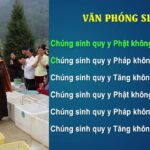 Văn Khấn Thả Phóng Sinh Chuẩn Nhất 2024: Hướng Dẫn Chi Tiết & Ý Nghĩa Tâm Linh