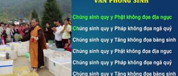 Văn Khấn Thả Phóng Sinh Chuẩn Nhất 2024: Hướng Dẫn Chi Tiết & Ý Nghĩa Tâm Linh