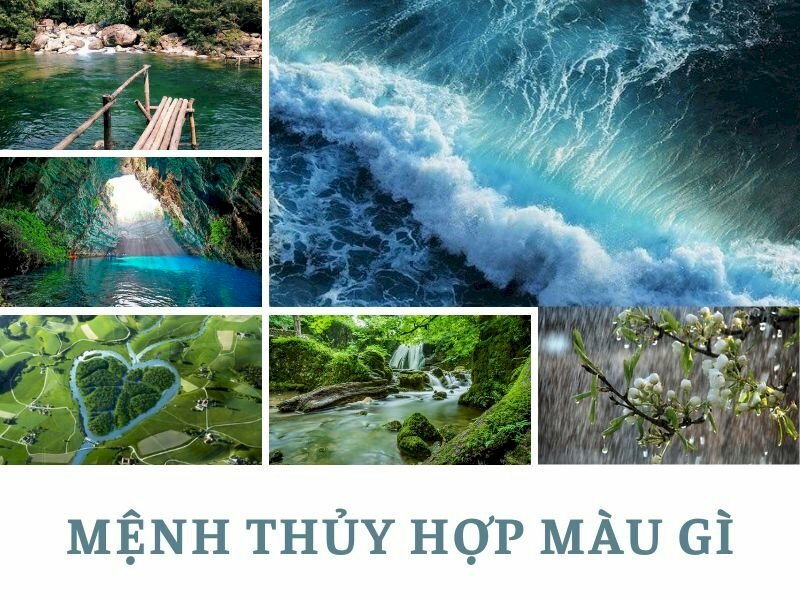 Mệnh Thủy Sinh Năm Nào? Giải Mã Bí Ẩn Ngũ Hành Cùng Chuyên Gia Henry Bảo Lê