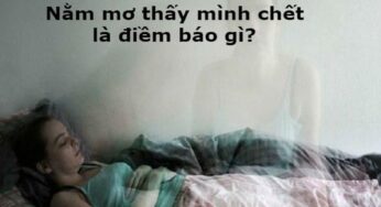 Nằm Mơ Thấy Mình Chết? Đừng Sợ! Giải Mã Điềm Báo & “Bật Mí” Con Số May Mắn
