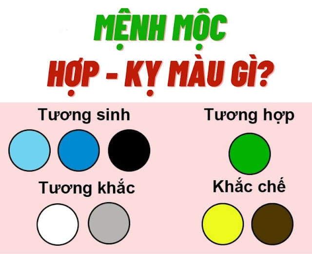 Mạng Mộc Hợp Màu Gì? Bật Mí Bí Mật Phong Thủy Để "Hút" Tài Lộc!