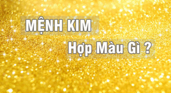 Màu Hợp Mệnh Kim “Rước” Tài Lộc, May Mắn Về Nhà