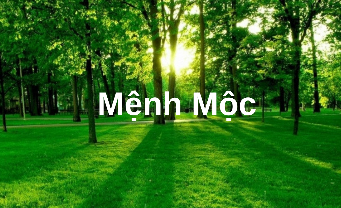 Màu Hợp Mệnh Mộc: Gợi Ý Phối Màu "Xanh" May Mắn & Tài Lộc