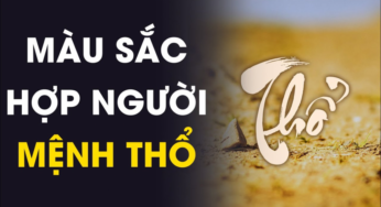 Màu Hợp Mệnh Thổ Năm 2024: “Bí kíp” “Thăng Tiến” Sự Nghiệp, Tình Duyên