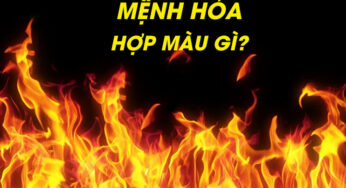 Mệnh Hỏa Hợp Màu Gì? Bí Kíp “Hút Lộc” Cho Gia Chủ