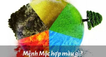 Mệnh Mộc Hợp Màu Gì Năm 2024 Để Bùng Nổ Tài Lộc?
