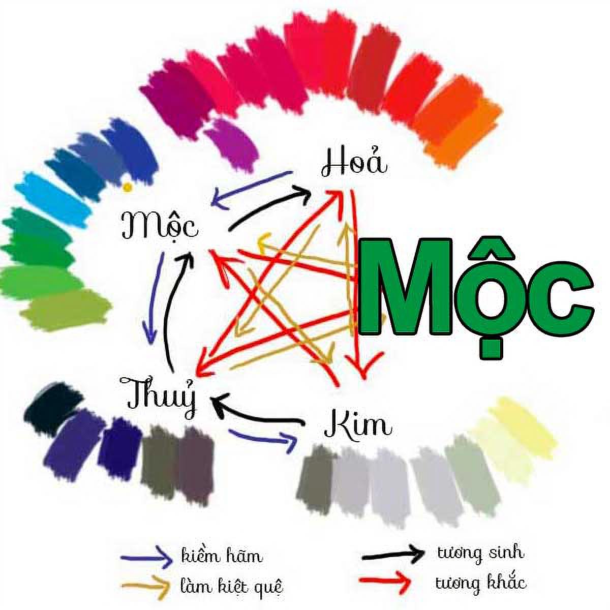 Mệnh Mộc Hợp Với Màu Gì? Thu Hút May Mắn & Tài Lộc!