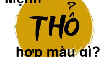 Mệnh Thổ hợp màu gì 2024? Bí kíp chọn màu “hút” tài lộc, may mắn!