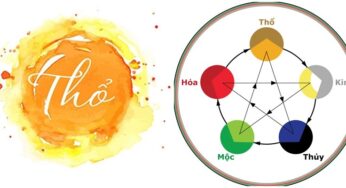 Mệnh Thổ Hợp Với Màu Gì? “Khai Vận” Tài Lộc, May Mắn Năm 2024
