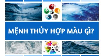 Mệnh Thủy Hợp Màu Gì? “Giải Mã” Bí Mật Ngũ Hành & Phong Cách 2024