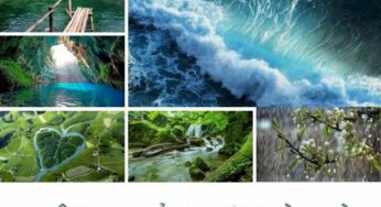Mệnh Thủy Hợp Màu Gì Để “Thăng Quan – Tiến Chức” Năm 2024?