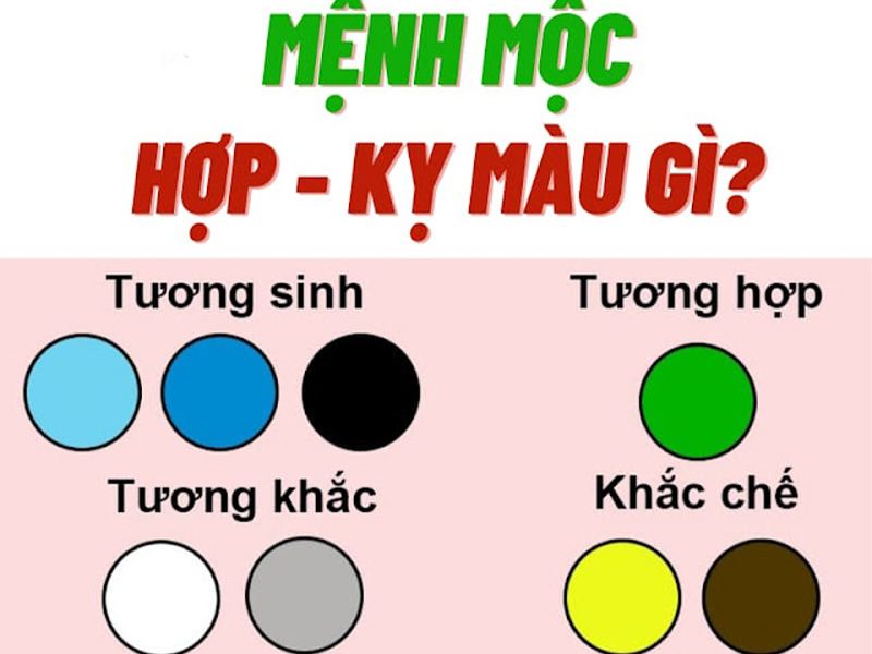 Mộc Hợp Màu Gì? Bật Mí Cách Phối Màu Rước Tài Lộc