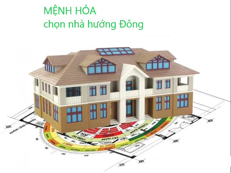 Mộc Sinh Gì? Giải Mã Bí Mật Ngũ Hành Tương Sinh (Cập nhật 2024)