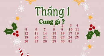 Tháng 1 Cung Hoàng Đạo Gì? Giải Mã Tính Cách & Vận Mệnh (2024)