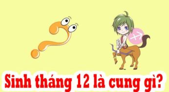 Tháng 12 Là Cung Hoàng Đạo Gì? Giải Mã TÍNH CÁCH, TÌNH DUYÊN & SỰ NGHIỆP [Chuẩn 2024]