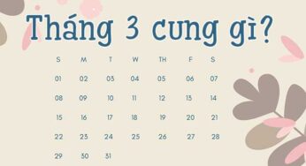 Tháng 3 Là Cung Hoàng Đạo Gì? Giải Mã Tính Cách & Vận Mệnh (2024)