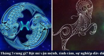 Tháng 3 Là Cung Hoàng Đạo Gì? GIẢI MÃ TÍNH CÁCH, TÌNH YÊU & VẬN MỆNH [2024]
