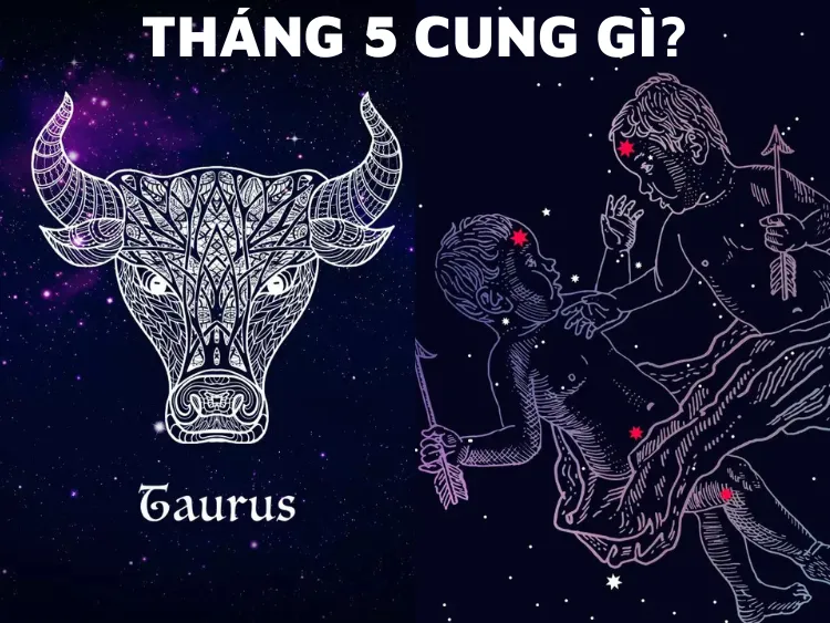 Tháng 5 Cung Hoàng Đạo Gì? Giải Mã Tính Cách & "Unlock" Vận Mệnh (2024)