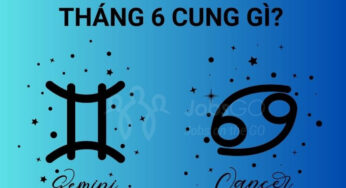 Tháng 6 Là Cung Hoàng Đạo Gì? Giải Mã Tính Cách & “Unlock” Vận Mệnh (2024)