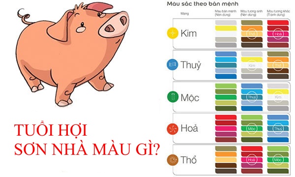 Tuổi Hợi Hợp Màu Gì Năm 2024? Bí Mật Phong Thủy Để May Mắn & Thành Công!