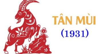 Sinh năm 1931 tuổi gì? Bật mí tử vi, vận mệnh Tân Mùi cực chi tiết!