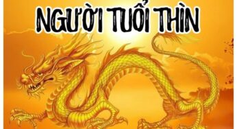 Sinh năm 1940 tuổi gì? Giải mã vận mệnh tuổi Canh Thìn “Vàng trong nến”!