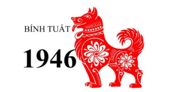 Sinh năm 1946 tuổi gì? Giải mã bí ẩn vận mệnh tuổi Bính Tuất!