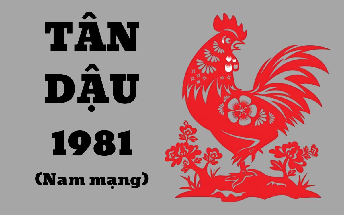 Tử vi trọn đời tuổi Tân Dậu 1981 nam mạng: Bật mí con đường tài lộc, tình duyên viên mãn!