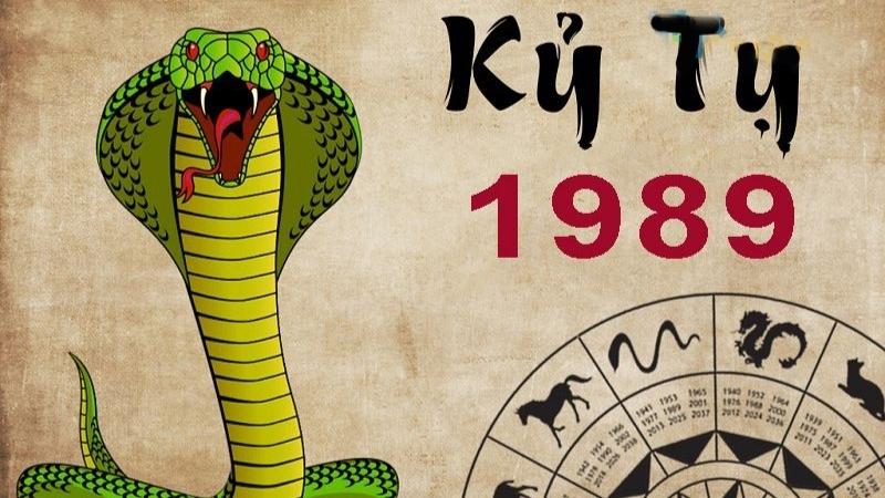 35 Tuổi Con Gì? Giải Mã Vận Mệnh & Phong Thủy Tuổi Kỷ Tỵ 1989!