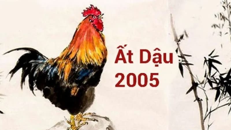 Ất Dậu Là Sinh Năm Bao Nhiêu? Giải Mã Vận Mệnh & Phong Thủy 2005!