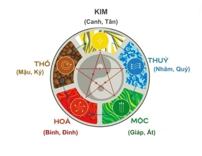 Ất Là Gì? Giải Mã Bí Ẩn Thiên Can "Âm Mộc" Trong Tử Vi!